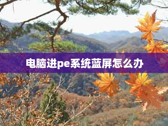 电脑进pe系统蓝屏怎么办
