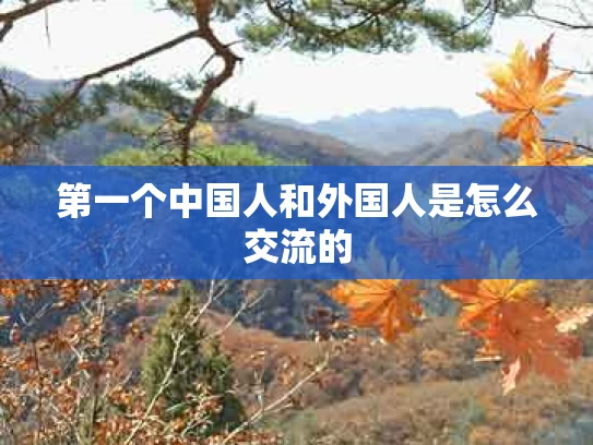 第一个中国人和外国人是怎么交流的