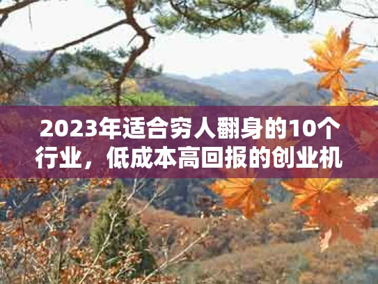 2023年适合穷人翻身的10个行业，低成本高回报的创业机会