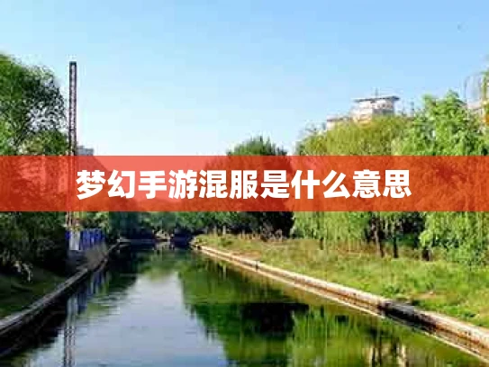 梦幻手游混服是什么意思