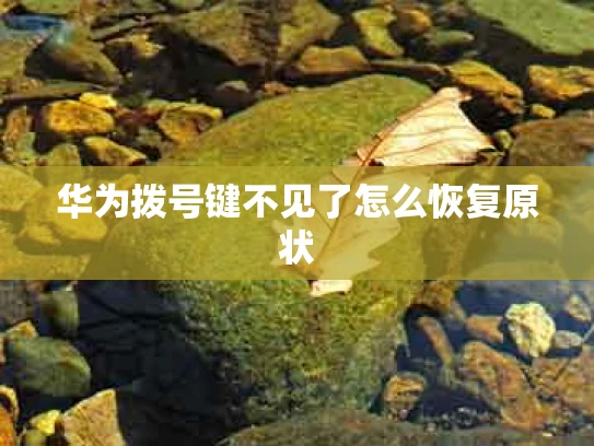 华为拨号键不见了怎么恢复原状