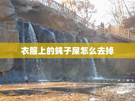 衣服上的蝇子屎怎么去掉