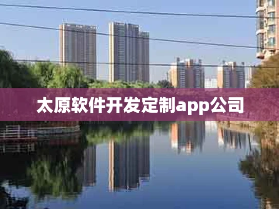 太原软件开发定制app公司