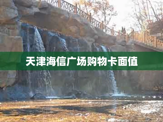 天津海信广场购物卡面值