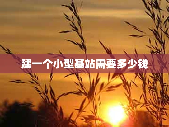 建一个小型基站需要多少钱