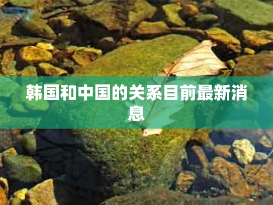 韩国和中国的关系目前最新消息