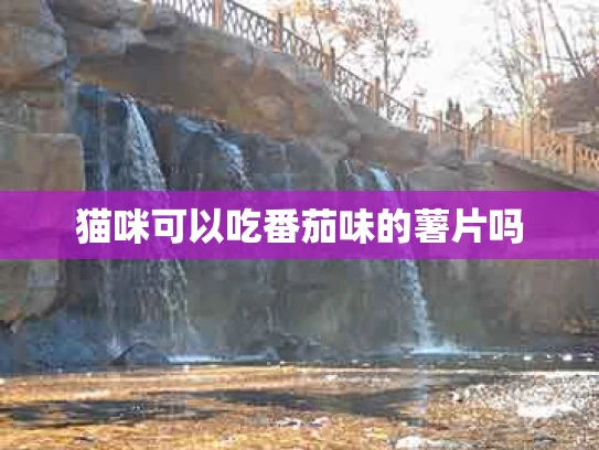 猫咪可以吃番茄味的薯片吗
