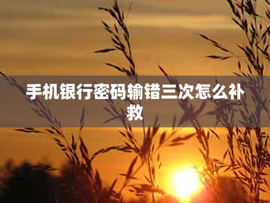 手机银行密码输错三次怎么补救