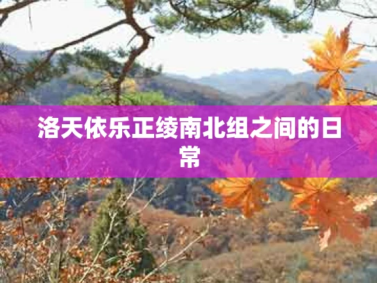 洛天依乐正绫南北组之间的日常