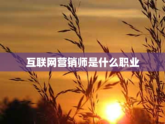 互联网营销师是什么职业
