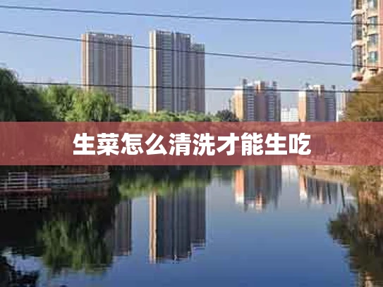 生菜怎么清洗才能生吃