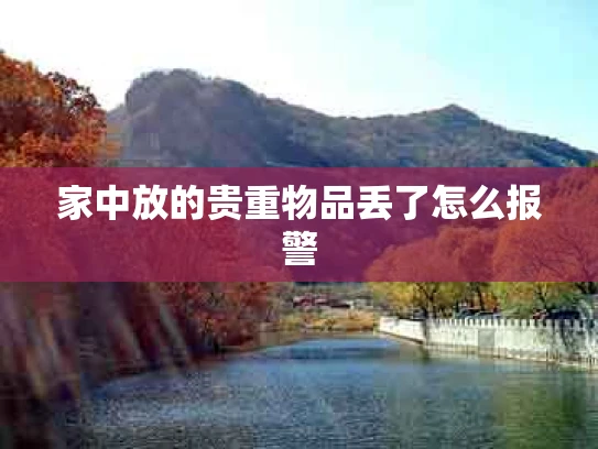 家中放的贵重物品丢了怎么报警