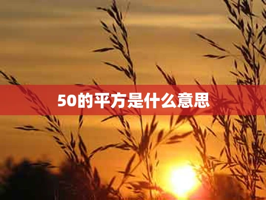 50的平方是什么意思