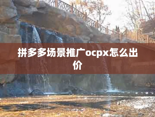 拼多多场景推广ocpx怎么出价