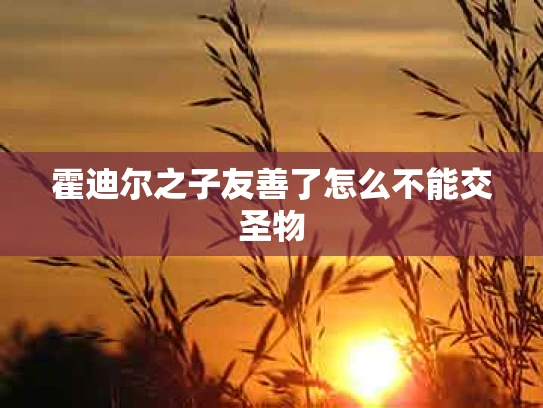 霍迪尔之子友善了怎么不能交圣物