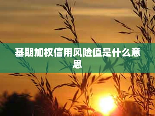 基期加权信用风险值是什么意思