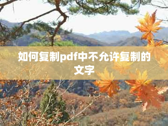 如何复制pdf中不允许复制的文字