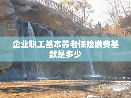 企业职工基本养老保险缴费基数是多少