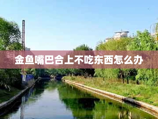 金鱼嘴巴合上不吃东西怎么办