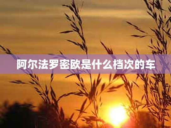 阿尔法罗密欧是什么档次的车
