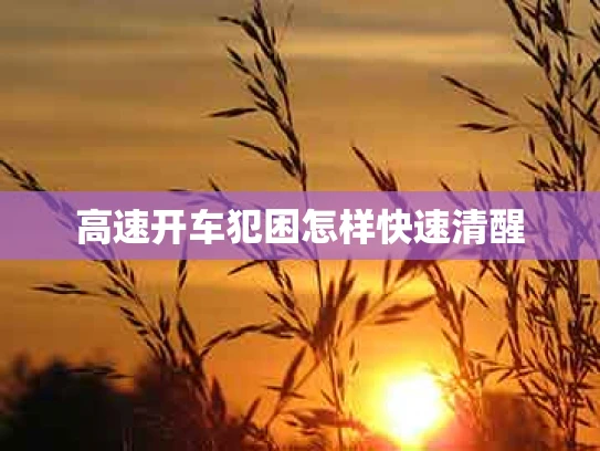高速开车犯困怎样快速清醒