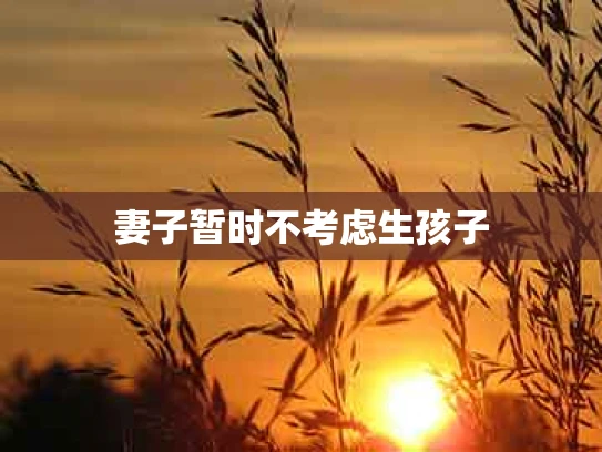 妻子暂时不考虑生孩子