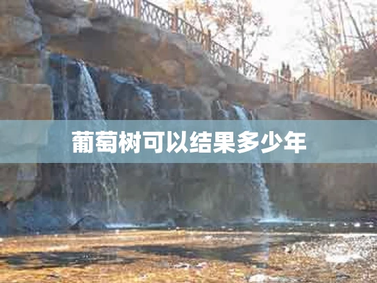 葡萄树可以结果多少年