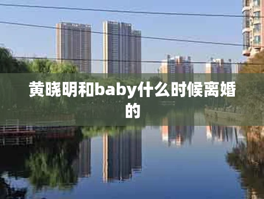 黄晓明和baby什么时候离婚的