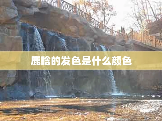 鹿晗的发色是什么颜色
