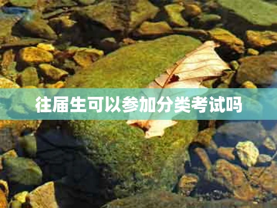 往届生可以参加分类考试吗