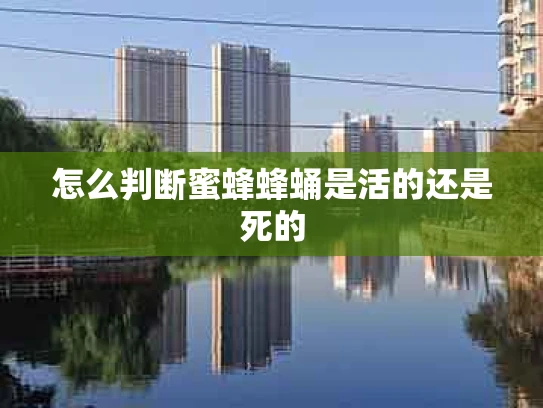 怎么判断蜜蜂蜂蛹是活的还是死的