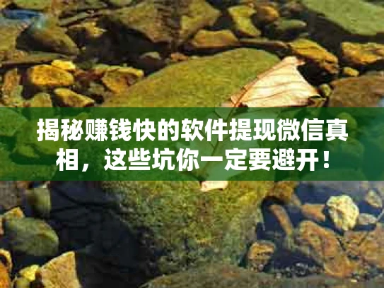 揭秘赚钱快的软件提现微信真相，这些坑你一定要避开！