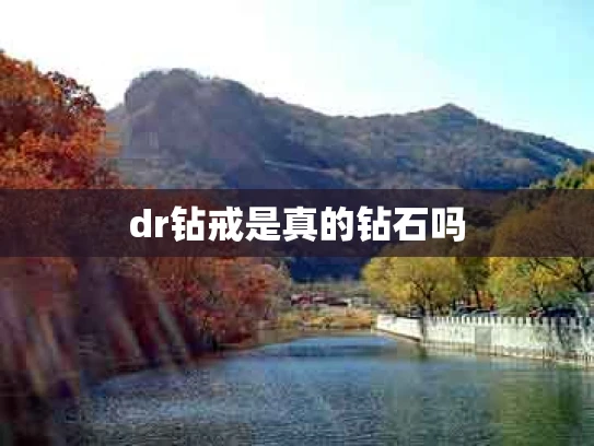 dr钻戒是真的钻石吗
