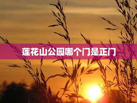 莲花山公园哪个门是正门