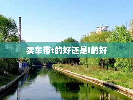 买车带t的好还是l的好