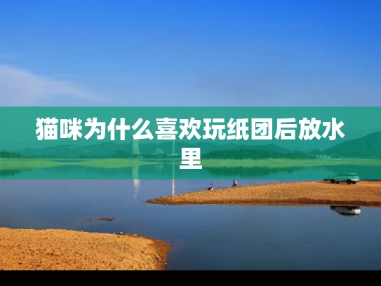 猫咪为什么喜欢玩纸团后放水里