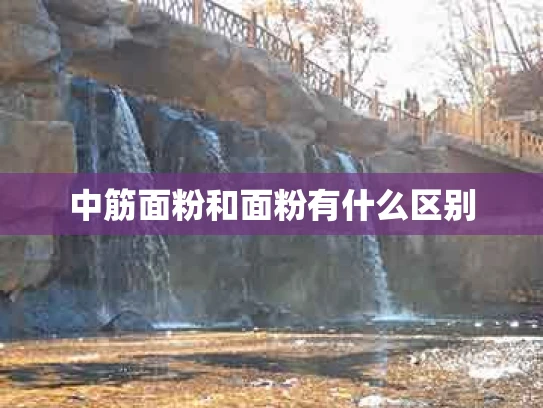 中筋面粉和面粉有什么区别