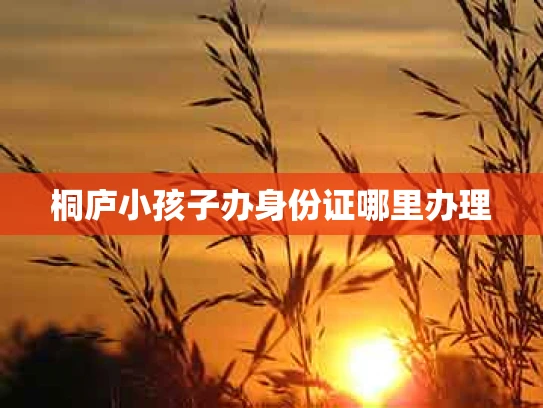 桐庐小孩子办身份证哪里办理