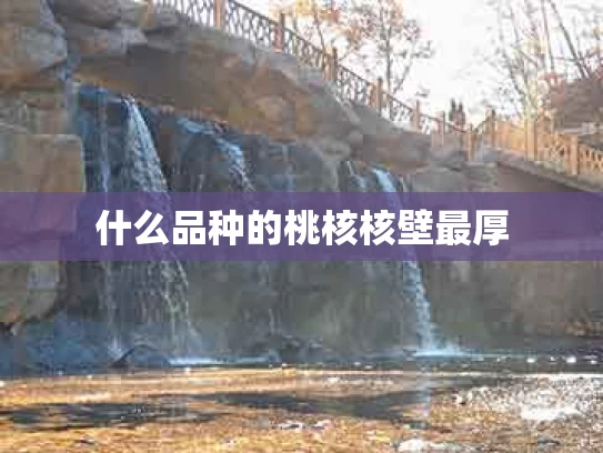 什么品种的桃核核壁最厚