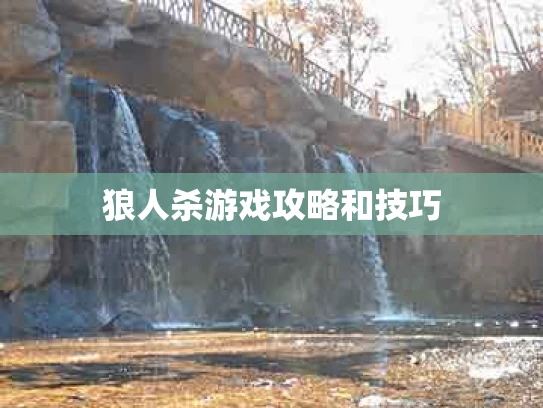 狼人杀游戏攻略和技巧