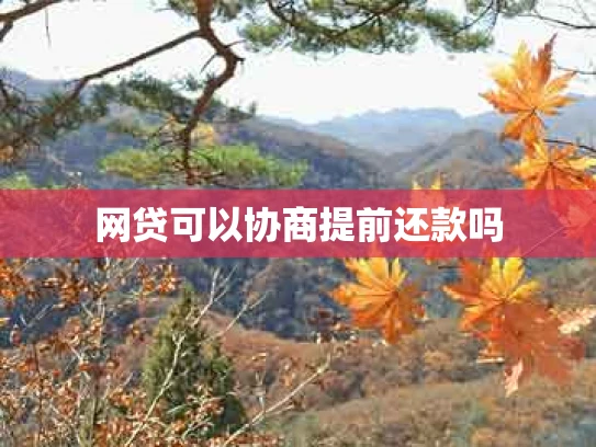 网贷可以协商提前还款吗