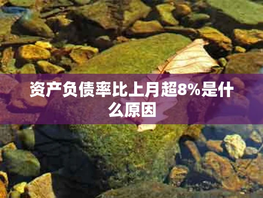 资产负债率比上月超8%是什么原因