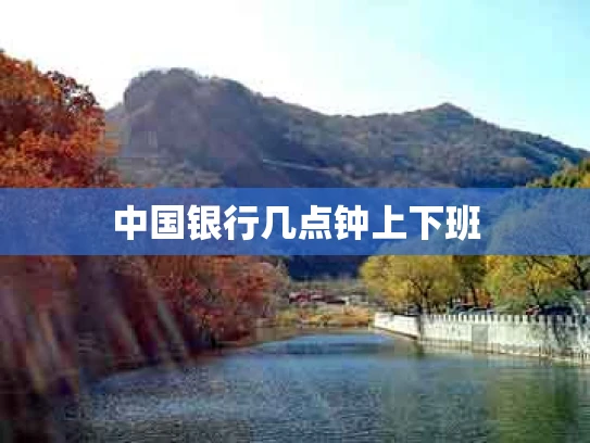 中国银行几点钟上下班