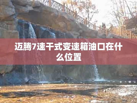 迈腾7速干式变速箱油口在什么位置