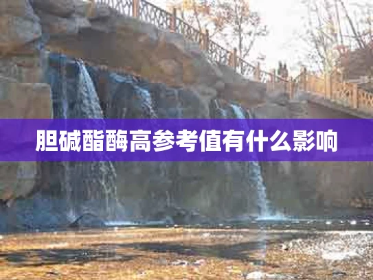 胆碱酯酶高参考值有什么影响