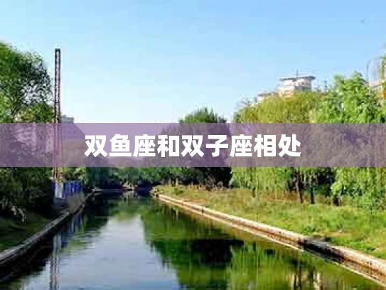 双鱼座和双子座相处