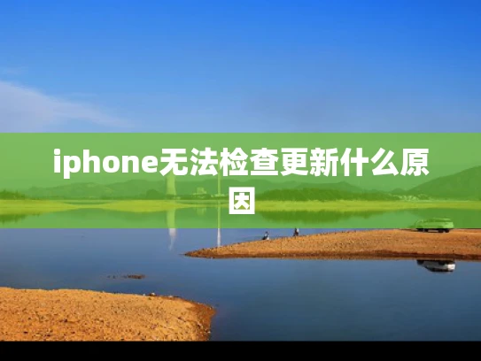 iphone无法检查更新什么原因