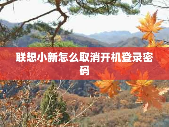 联想小新怎么取消开机登录密码