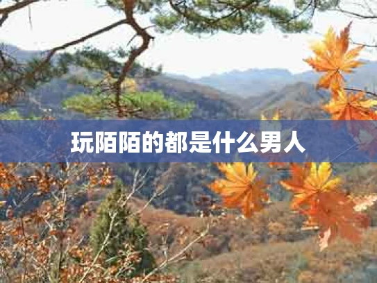 玩陌陌的都是什么男人
