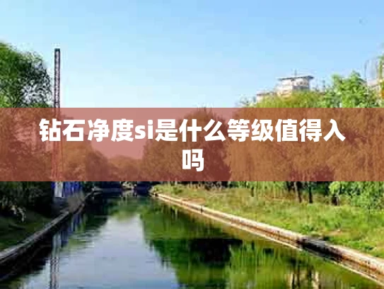 钻石净度si是什么等级值得入吗